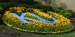 University of Kansas School of Medicine University of Kansas School of Medicine